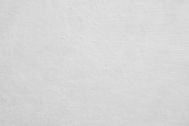 Best Mold Prevention Services  in South Coventry, CT